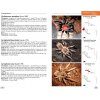 Mygales du Monde [Tarantulas of the World]