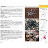 Mygales du Monde [Tarantulas of the World]