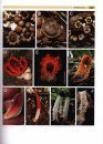 Introduction to Mycology in the Tropics