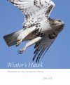 Winter's Hawk