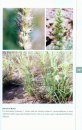 Photographic Field Guide to the Plants of the Western Hajar Mountains, Sultanate of Oman with a Complete Checklist of Vascular Plant Species