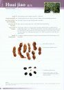 Chinese Medicinal Identification