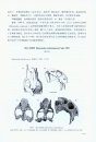 Palaeovertebrata Sinica, Volume 3: Basal Synapsids and Mammals Fascicle 1 (Series no. 14): Basal Synapsids [Chinese]