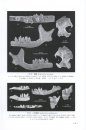 Palaeovertebrata Sinica, Volume 3: Basal Synapsids and Mammals Fascicle 3 (Series no. 16): Eulipotyphlans, Proteutheres,Chiropterans, Euarchontans, and Anagalids [Chinese]