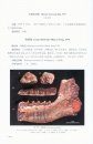 Palaeovertebrata Sinica, Volume 3: Basal Synapsids and Mammals Fascicle 3 (Series no. 16): Eulipotyphlans, Proteutheres,Chiropterans, Euarchontans, and Anagalids [Chinese]