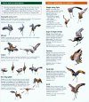 Sandhill Crane Display Dictionary