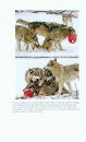 How Dogs Work