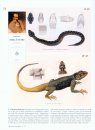 Contributions to the History of Herpetology, Volume 1