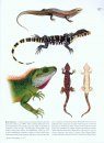 Contributions to the History of Herpetology, Volume 1