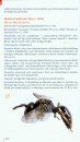 Taschenlexikon der Wildbienen Mitteleuropas: Alle Arten im Porträt [Field Guide to Wild Bees of Central Europe]