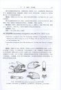 Fauna Sinica: Insecta, Volume 55: Lepidoptera: Hesperiidae [Chinese]