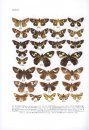 Fauna Sinica: Insecta, Volume 55: Lepidoptera: Hesperiidae [Chinese]