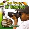 Life Cycle of Insects