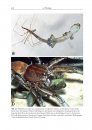 Biologie der Spinnen [Biology of Spiders]