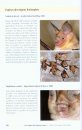 Chauves-Souris d'Europe: Connaître, Identifier, Protéger [Bats of Britain and Europe]