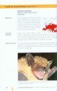 Chauves-Souris d'Europe: Connaître, Identifier, Protéger [Bats of Britain and Europe]