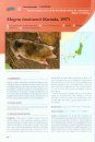 The Wild Mammals of Japan 