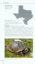 Texas Turtles & Crocodilians