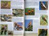 A Natural History and Field Guide to Australia's Top End