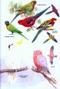The Field Guide to the Birds of New Zealand