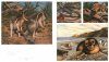 The Art of Australian Geographic Illustration