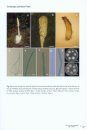 Atlas of Invertebrate-Pathogenic Fungi of Thailand: Volume 4