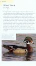 American Birding Association Field Guide to Birds of New York