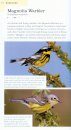 American Birding Association Field Guide to Birds of New York