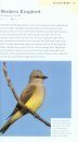 American Birding Association Field Guide to Birds of Texas