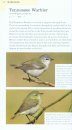 American Birding Association Field Guide to Birds of Texas