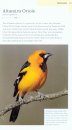 American Birding Association Field Guide to Birds of Texas