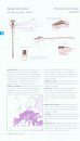 Guide des Libellules De France et d'Europe [Field Guide to the Dragonflies of France and Europe]