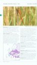 Guide des Libellules De France et d'Europe [Field Guide to the Dragonflies of France and Europe]