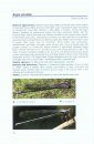 A Guide to the Dragonflies and Damselflies of the Serra dos Orgaos, South-Eastern Brazil / Guia dos Anisoptera e Zygoptera da Serra dos Órgãos, Sudeste do Brasil