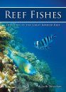 Reef Fishes