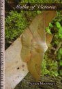 Moths of Victoria, Part 4: Emeralds and Allies – Geometridae (B)