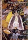Moths of Victoria, Part 5: Satin Moths and Allies – Geometroidea (A)