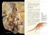 Biological Mystery Series, Volume 6: Jurassic Creatures [Japanese]