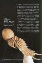 Biological Mystery Series, Volume 2: Ordovician & Silurian Creatures [Japanese]