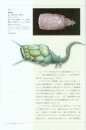 Biological Mystery Series, Volume 2: Ordovician & Silurian Creatures [Japanese]