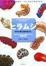 Flatworms Illustrated [Japanese]
