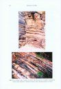 Geology of India (2-Volume Set)