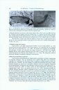 Colloque "Aller à l'Espèce, Illusion ou Nécessité?": Comptes Rendus du Colloque de la Société Entomologique de France des 23 et 24 Novembre 2007