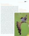 Oiseaux et Changement Global: Menace ou Aubaine? [Bird and Global Change: Threat of Windfall?]