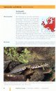 Reptilien und Amphibien Europas [Reptiles and Amphibians of Europe]