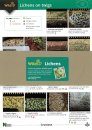 FSC Wildlife Pack 20: Lichens