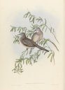 Australische Vogels door John Gould & Jacques Grégoire [Australian Birds by John Gould and Jacques Grégoire]