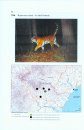 A Population Estimate of Amur Tigers Using Camera Traps: Monograph / Otsenka Populiatsii Amurskogo Tigra s Pomoshch'iu Fotolovushek: Monografiia 