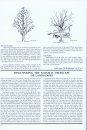 A Dendrologist's Handbook