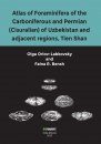 Atlas of Foraminifera of the Carboniferous and Permian (Cisuralian) of Uzbekistan and Adjacent Regions, Tien Shan